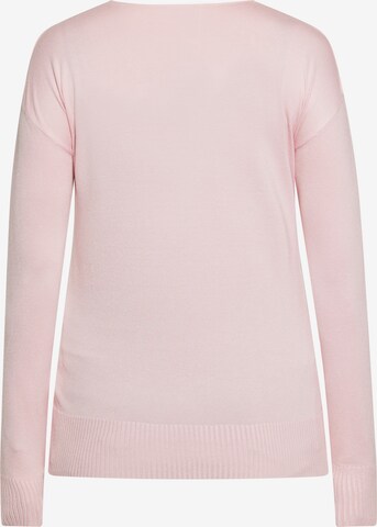 usha BLUE LABEL Pullover in Pink