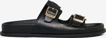Polo Club Pantolette in Schwarz: Vorderseite