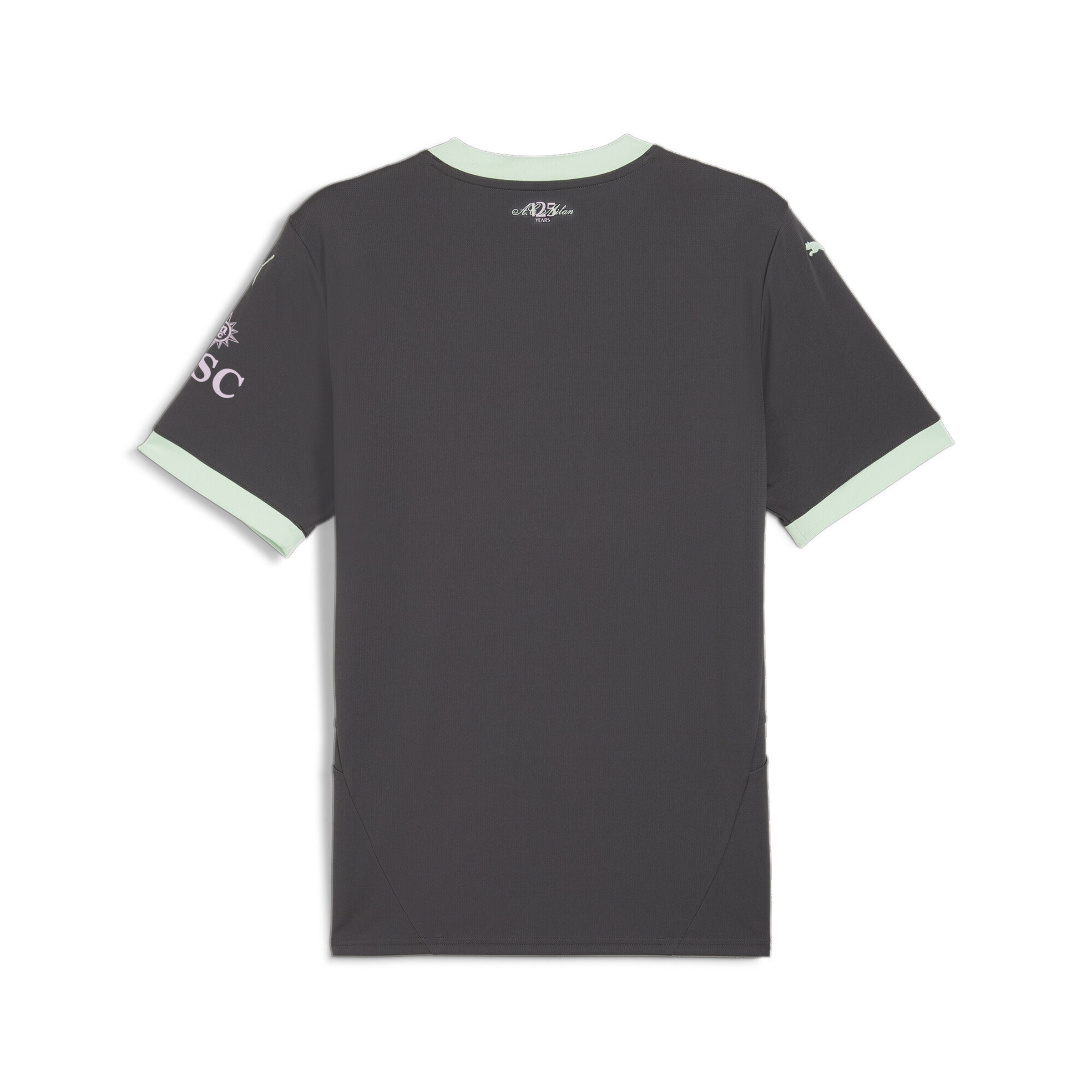 Maillot 'AC Milan 24/25' PUMA en gris