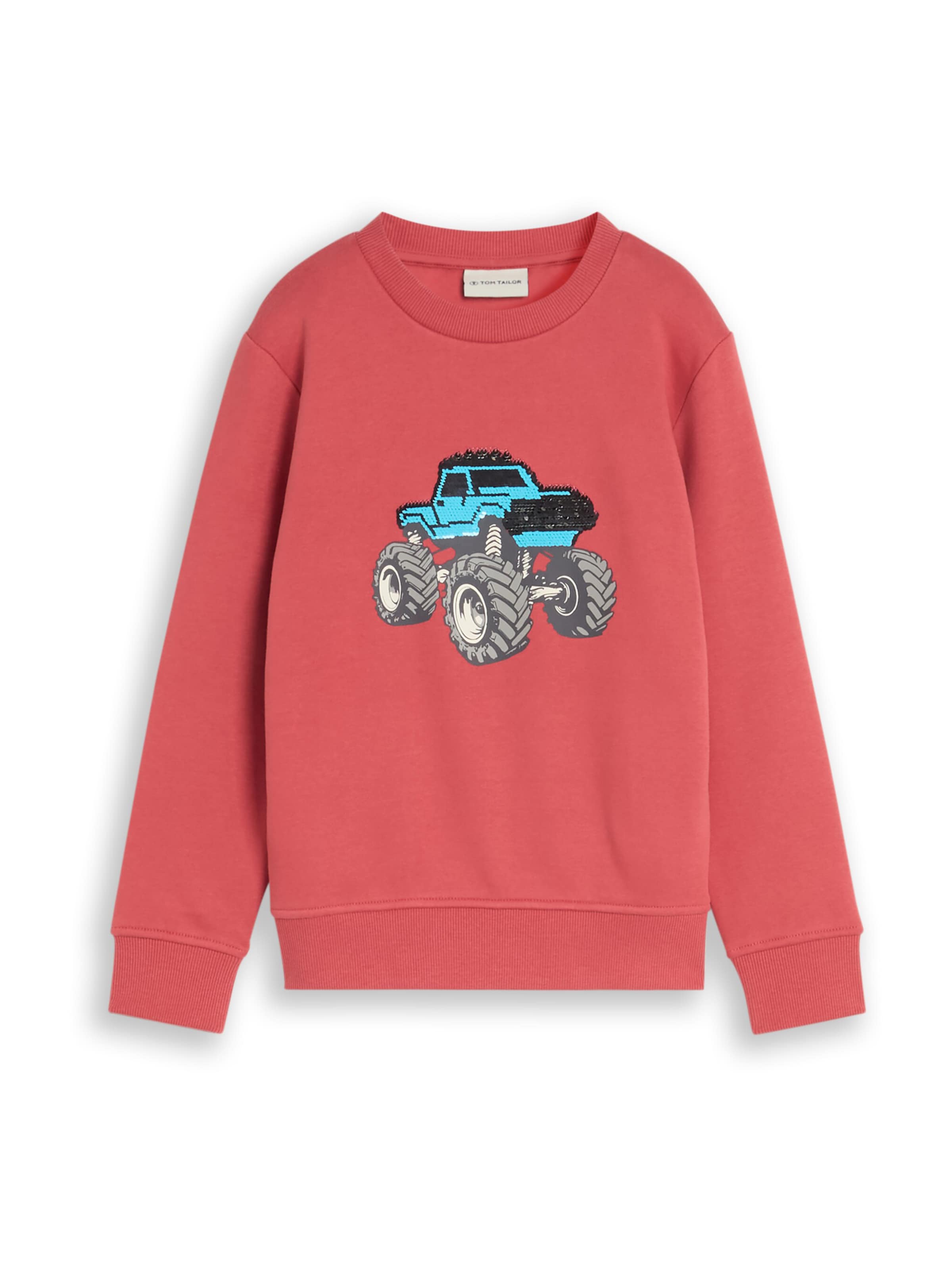 TOM TAILOR Sweatshirt in Red: front