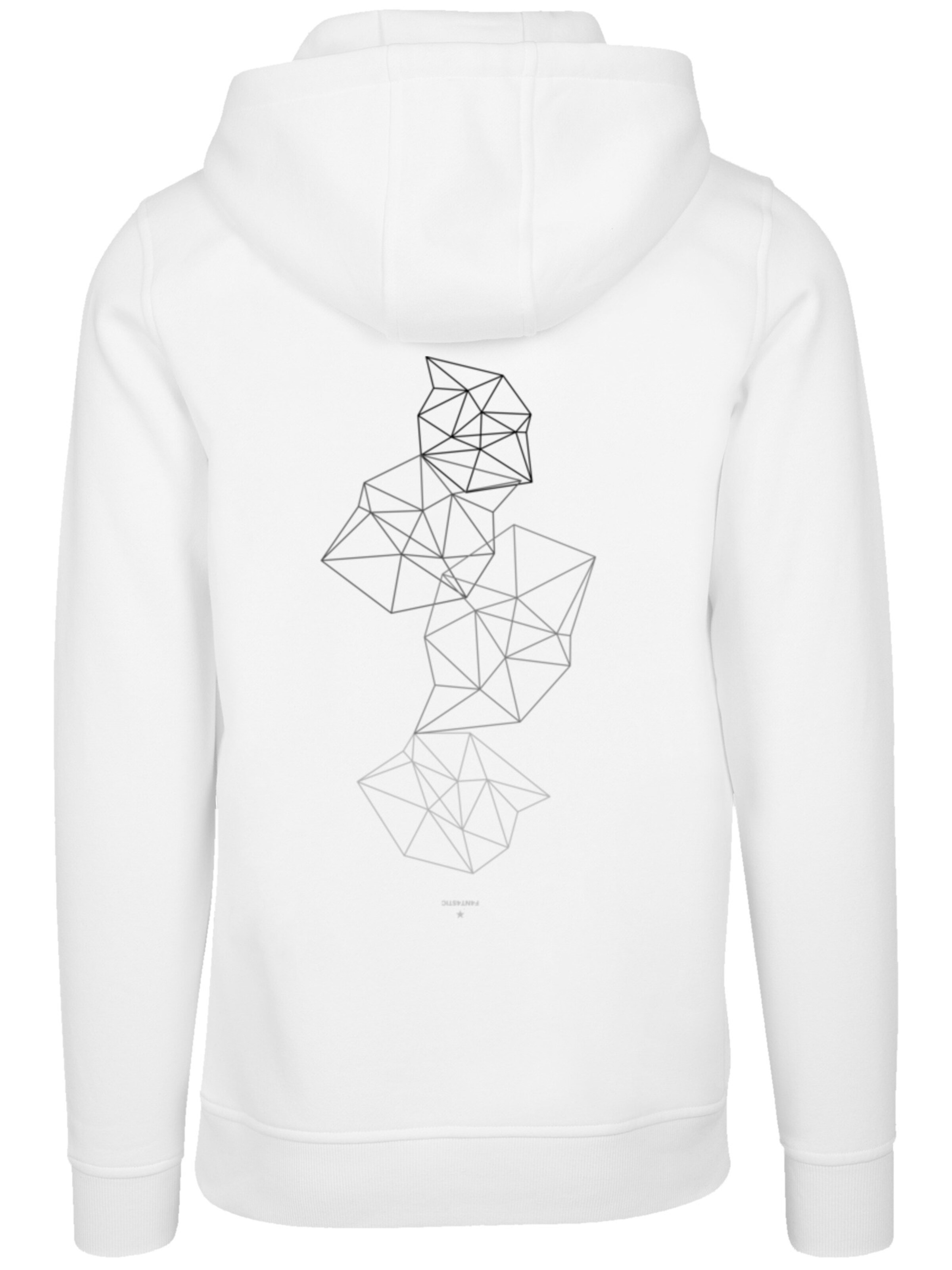 F4NT4STIC Sweatshirt 'Geometrics Abstract' in Wit