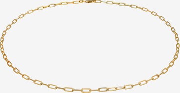 ELLI Halskette Basic Kette, Choker in Gold: predná strana