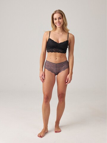 SNOCKS Boyshorts 'Spitze' in Grey