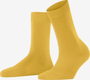FALKE Socken 'ClimaWool' in Gelb: Vorderseite