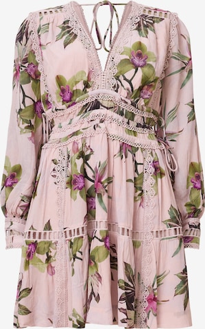 AllSaints Mekko 'XANTHE' värissä vaaleanpunainen: etupuoli