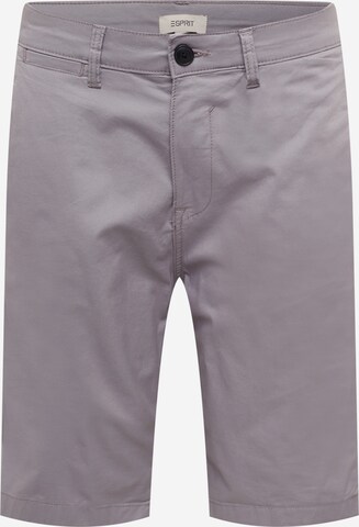 ESPRIT Regular Chino Pants in Grey: front