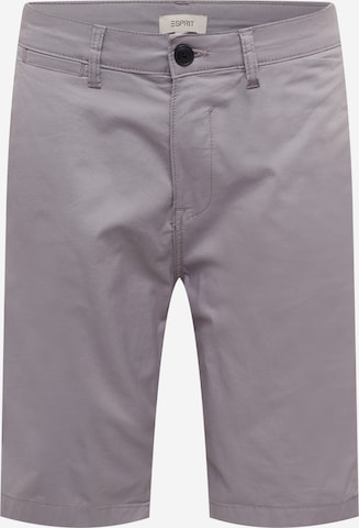 ESPRIT - Regular Calças chino em cinzento: frente