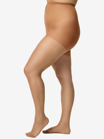Nur Die - Collants finos 'Supersitz' em castanho: frente