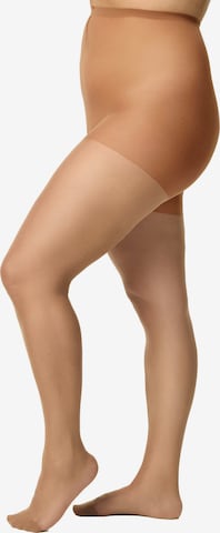 Collants 'Supersitz' Nur Die en marron : devant