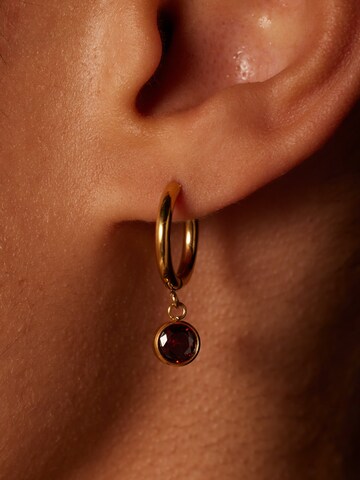 Boucles d'oreilles Lucardi en or : devant