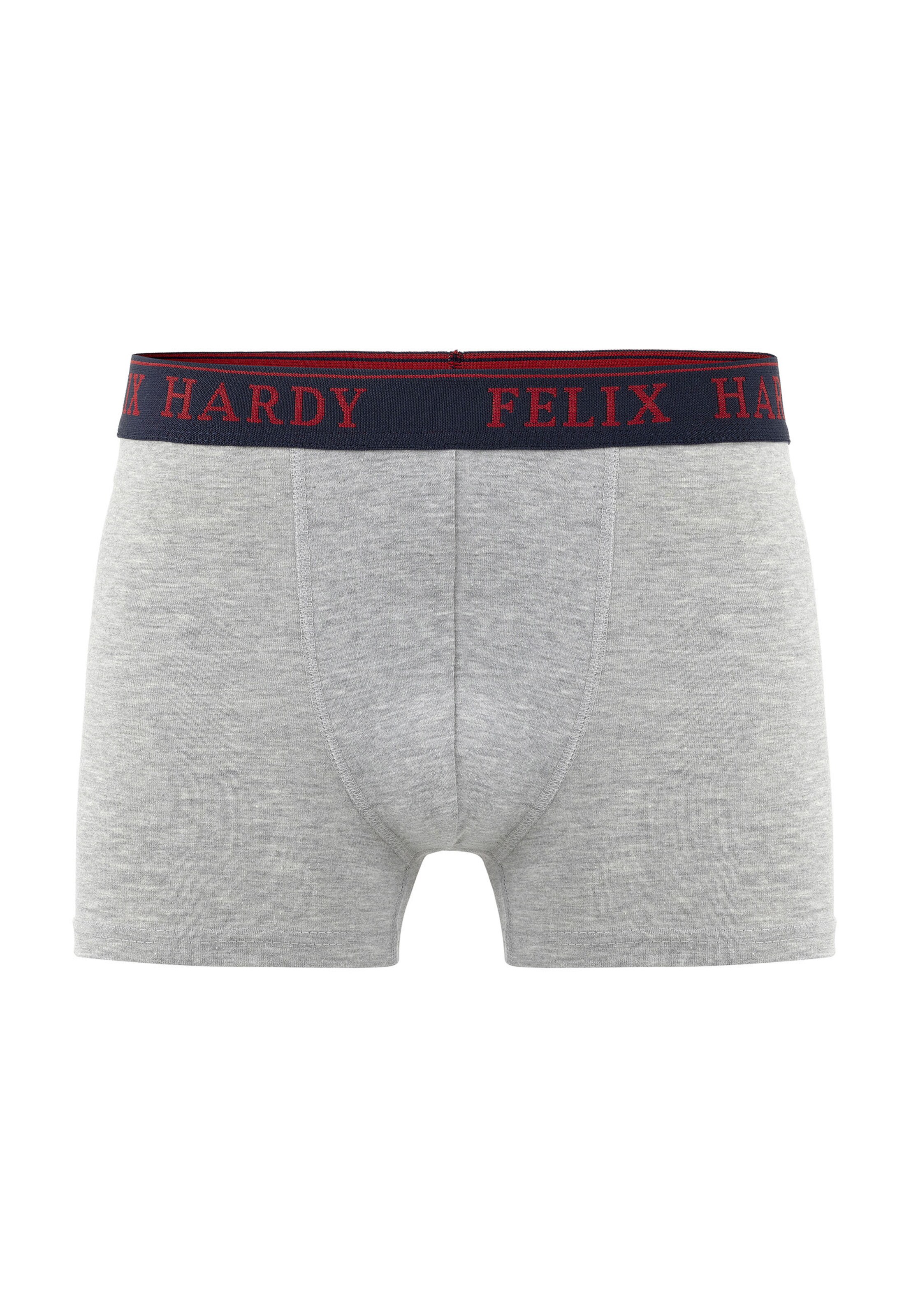 Felix Hardy Boxer shorts in Blue