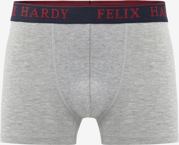 Felix Hardy Boxer shorts in Blue