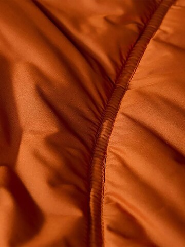 THE NORTH FACE Winter Jacket 'Summit Puffer 2000' in Brown