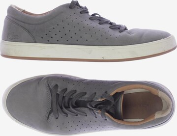 LACOSTE Sneakers & Trainers in 40 in Grey: front