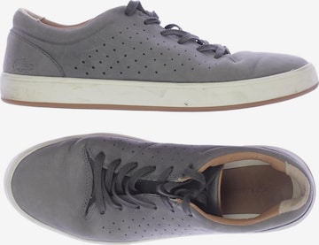 LACOSTE Sneakers & Trainers in 40 in Grey: front