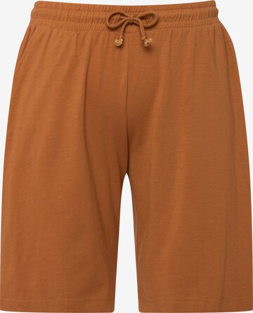 Ulla Popken Regular Pants in Brown: front