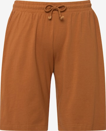 Pantalon Ulla Popken en marron : devant