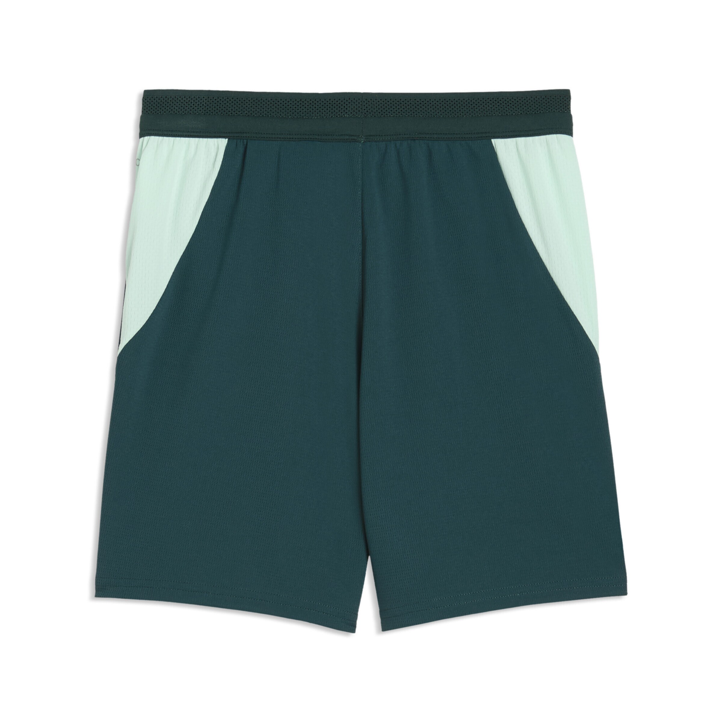 PUMA Regular Sports trousers 'Österreich 2026' in Green