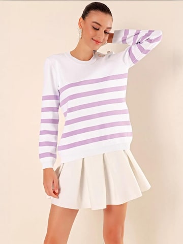 Bigdart Trui in Lila: voorkant