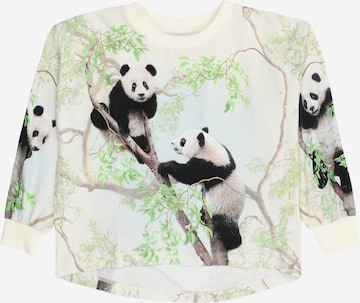 Maglietta 'Reniza' di Molo in verde: frontale