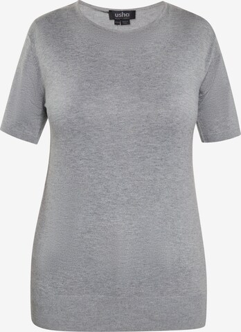 Pull-over usha BLACK LABEL en gris : devant