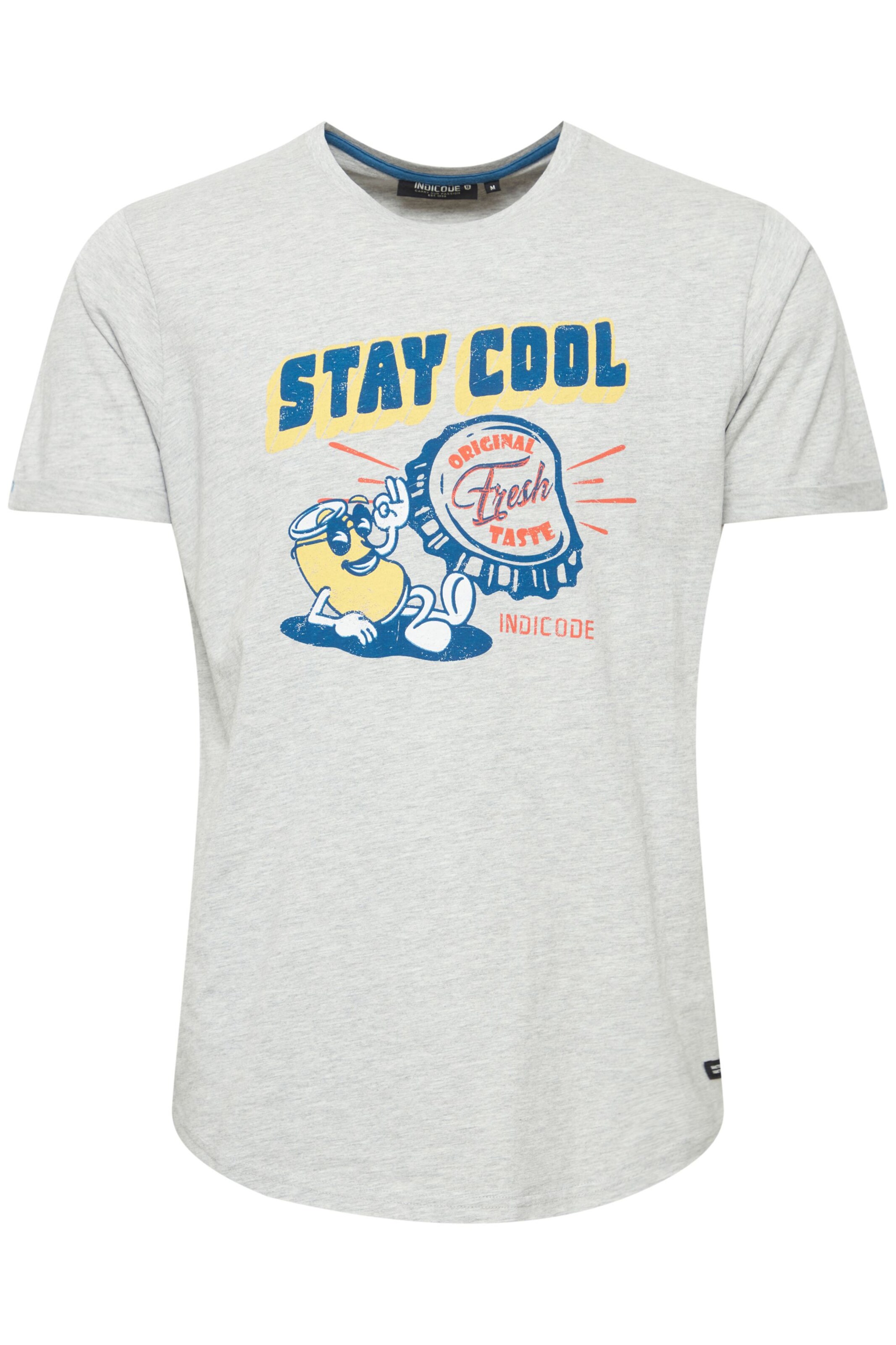 Maglietta 'Daniel' di INDICODE JEANS in grigio: frontale