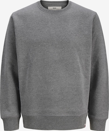 Sweat-shirt R.D.D. ROYAL DENIM DIVISION en gris : devant