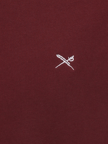 Iriedaily Regular fit Sweatshirt 'Mini Flag 2' in Red