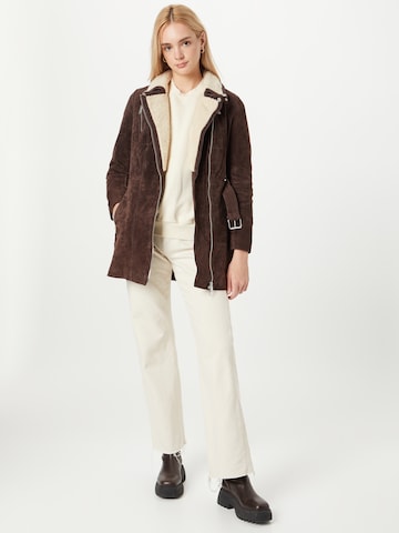 Manteau d’hiver 'Polar Day' FREAKY NATION en marron