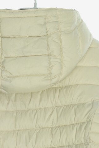 GEOX Steppjacke M in Beige