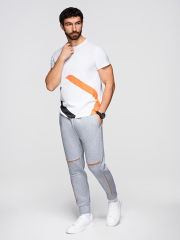 Ombre Regular Outdoorbroek in Grijs