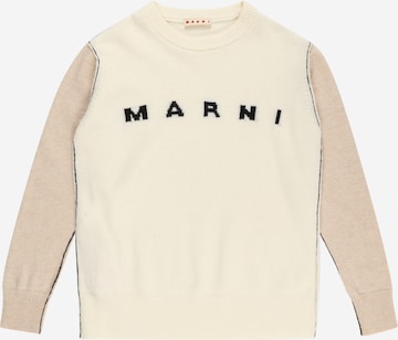 Marni Sweater in Beige: front