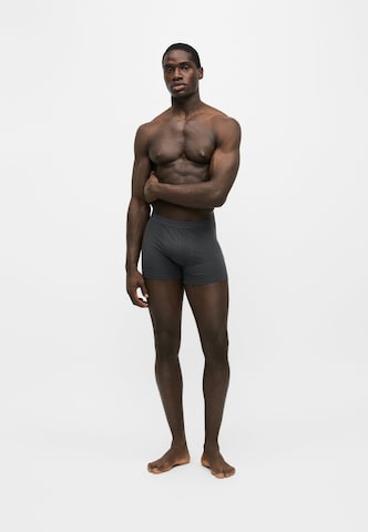 ABOUT YOU Boxer shorts 'Dante' in Blue