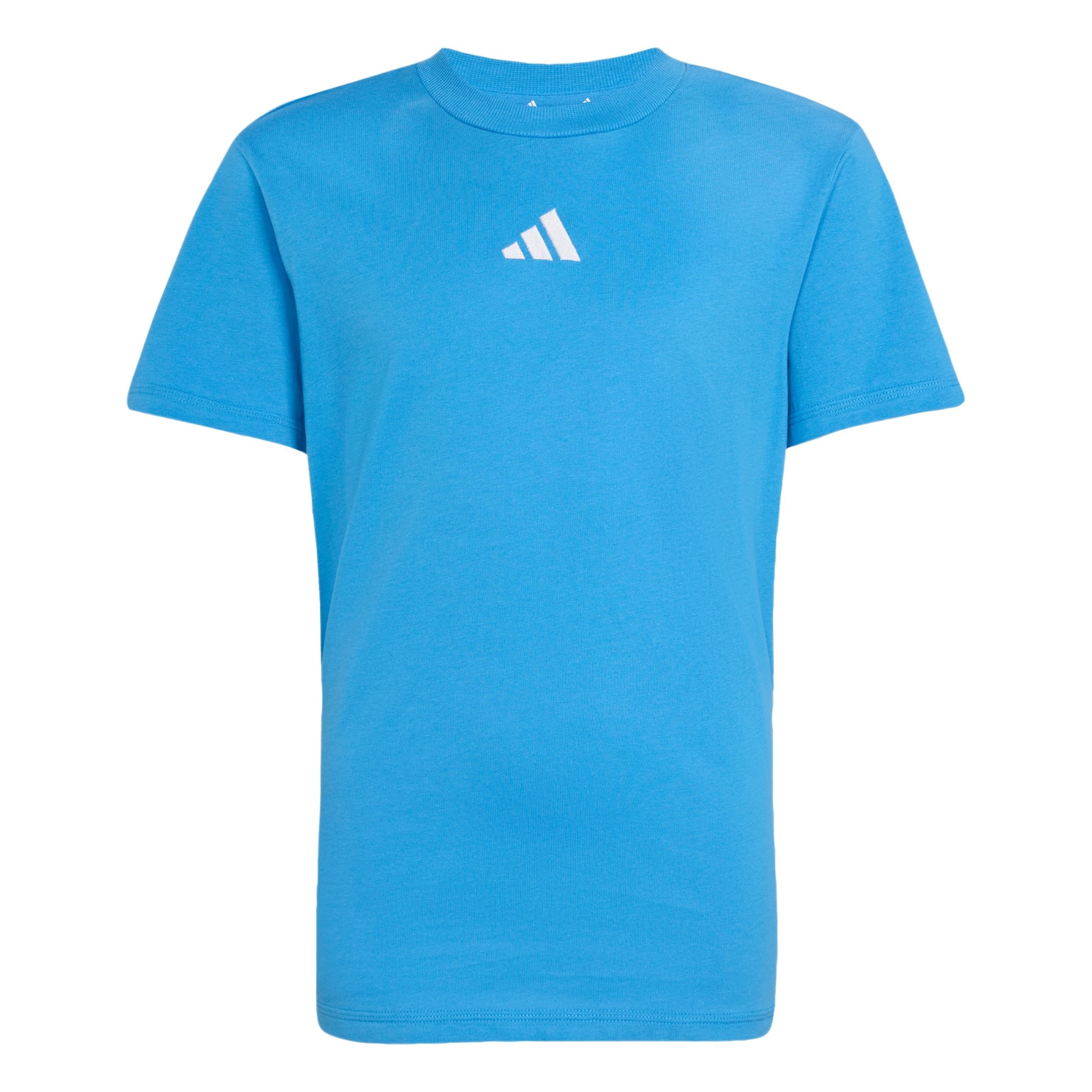 T-Shirt fonctionnel 'Essentials' ADIDAS SPORTSWEAR en bleu : devant