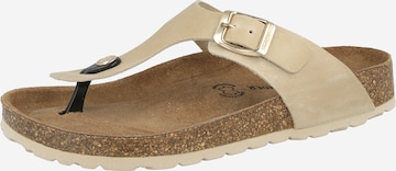 SALAMANDER Klipklappere i beige: forside