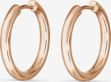 ESPRIT Earrings in Gold: front