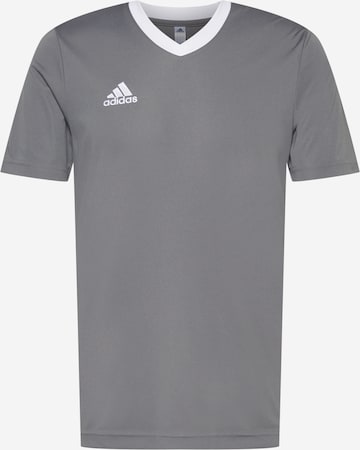 ADIDAS SPORTSWEAR Λειτουργικό μπλουζάκι 'Entrada 22' σε γκρι: μπροστά