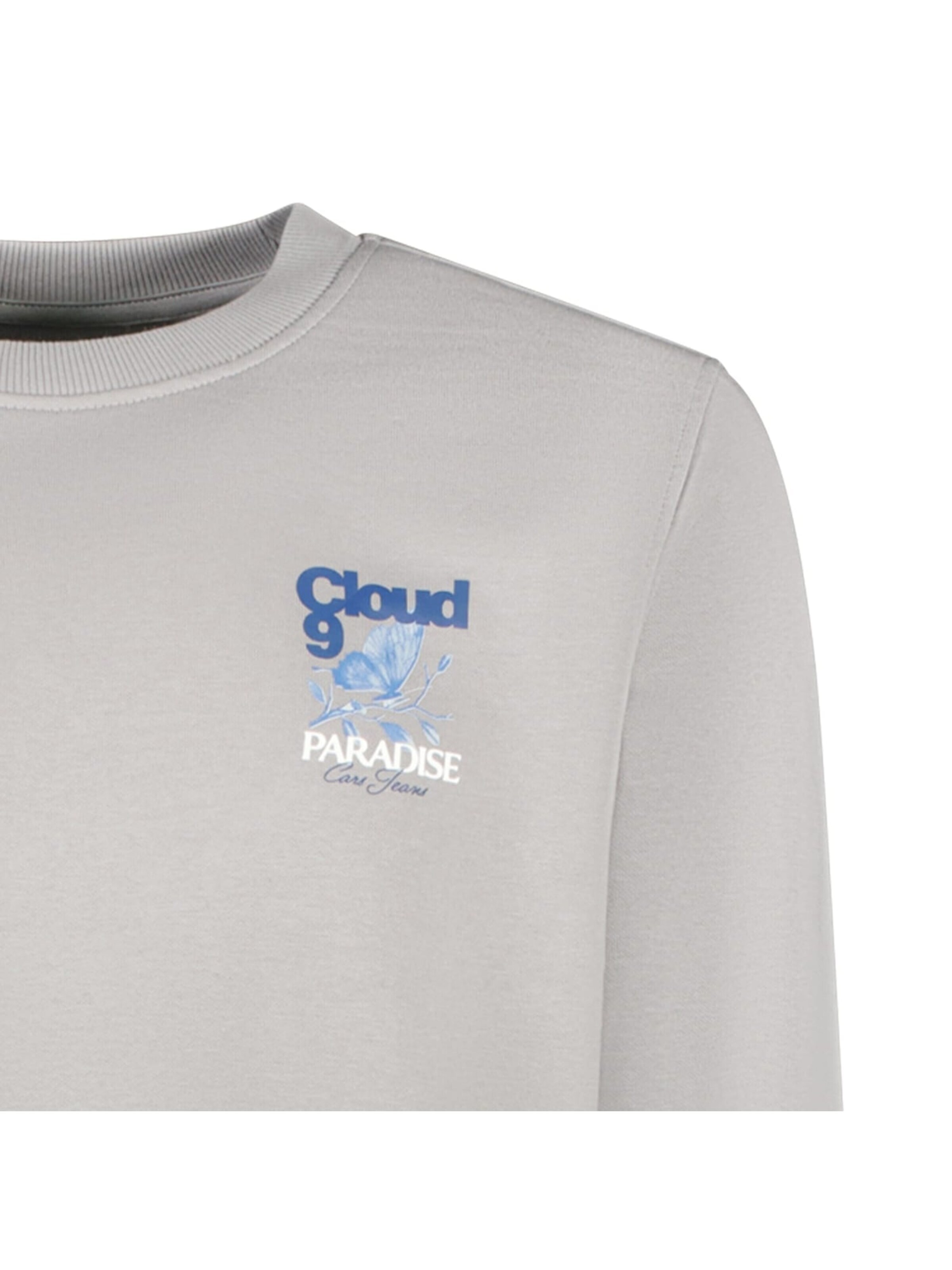 CARS Sweatshirt in Grey