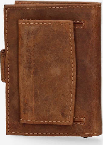 Sergio Valentini Wallet in Brown: front