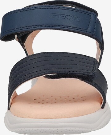 GEOX Sandals in Blue