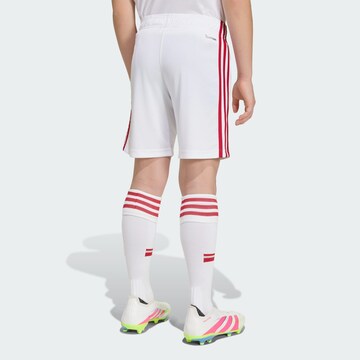 ADIDAS PERFORMANCEregular Sportske hlače 'Liverpool FC 26/27' - bijela boja