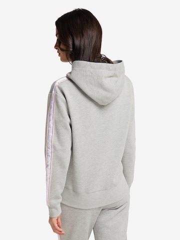 Carlo Colucci Zip-Up Hoodie 'Cattaruzza' in Grey