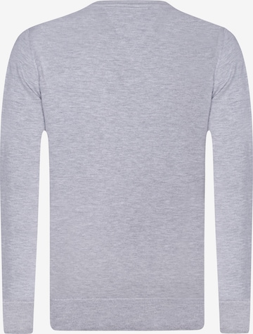 DENIM CULTURE Sweater 'Ottorino' in Grey