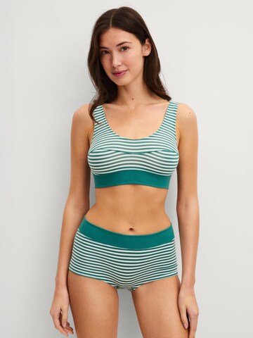 CALIDA Boyshorts 'Elastic' in Green