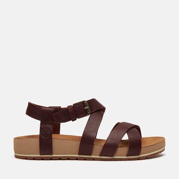 TIMBERLAND Sandals 'Malibu Waves' in Brown: front