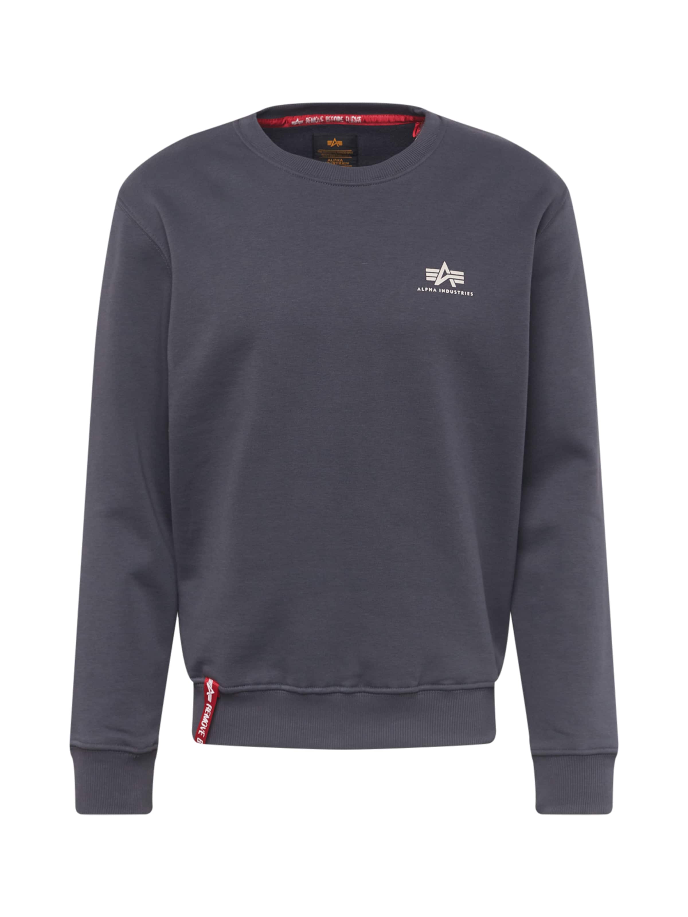 ALPHA INDUSTRIES Sweatshirt i grå: framsida
