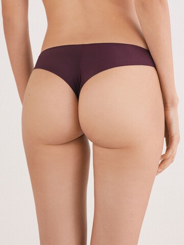INTIMISSIMI Panty in Purple