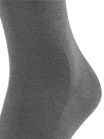 FALKE Socken 'ClimaWool'‌‌‌‌‌‌‌‌‌ in Grau