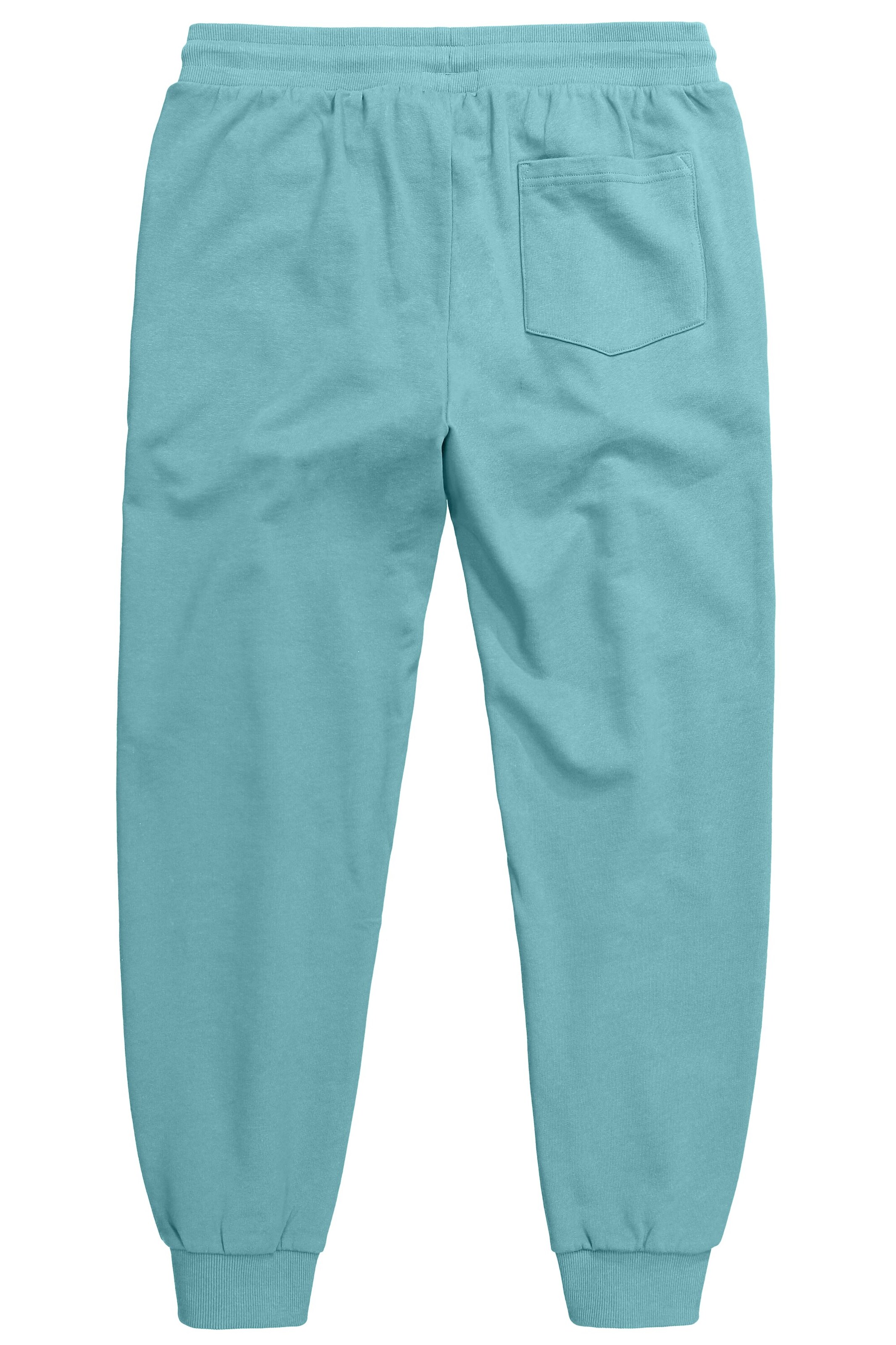 Men Plus Tapered Broek in Blauw