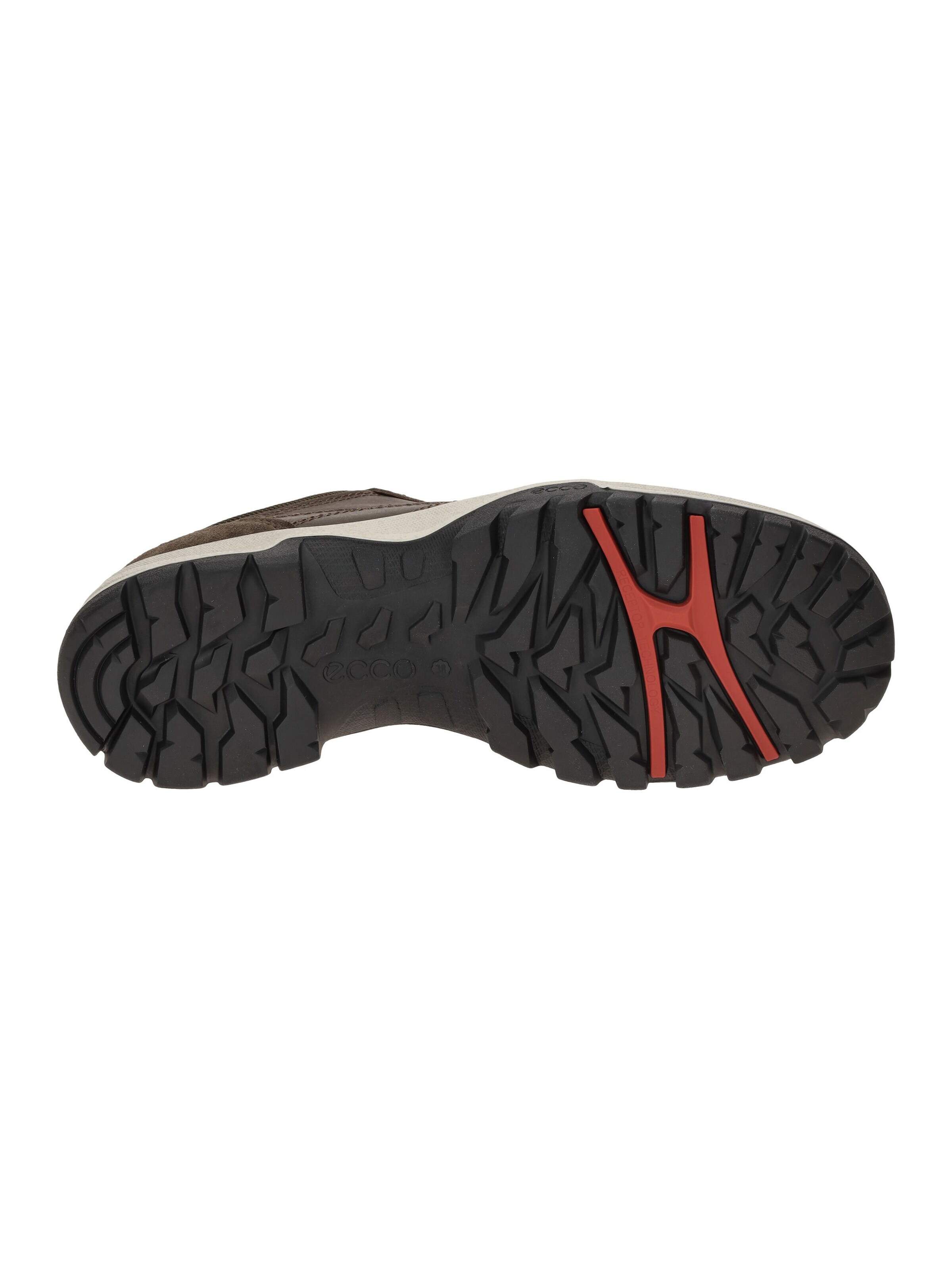 ECCO Lace-Up Shoes in Brown